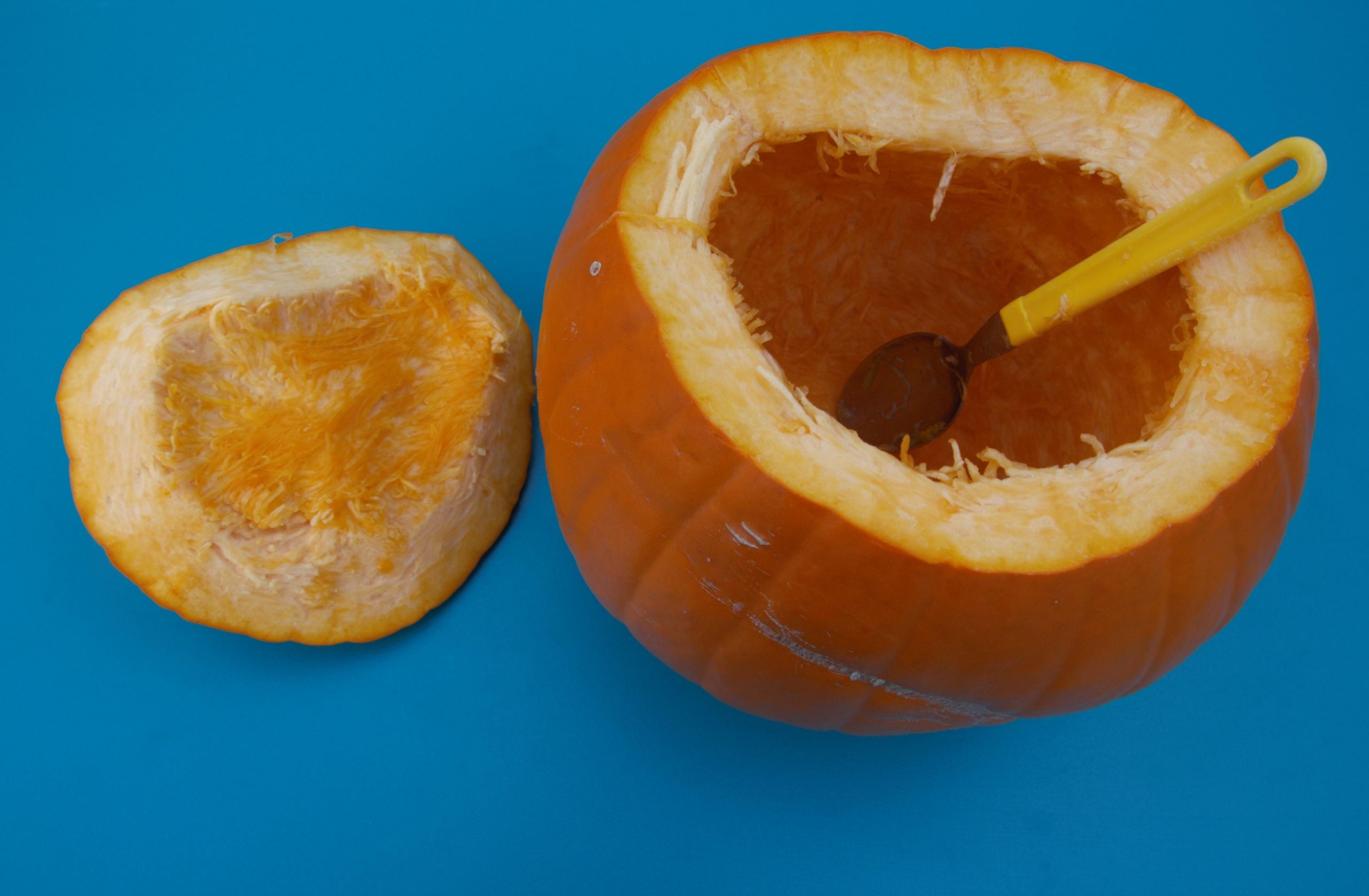 Kürbis Halloween