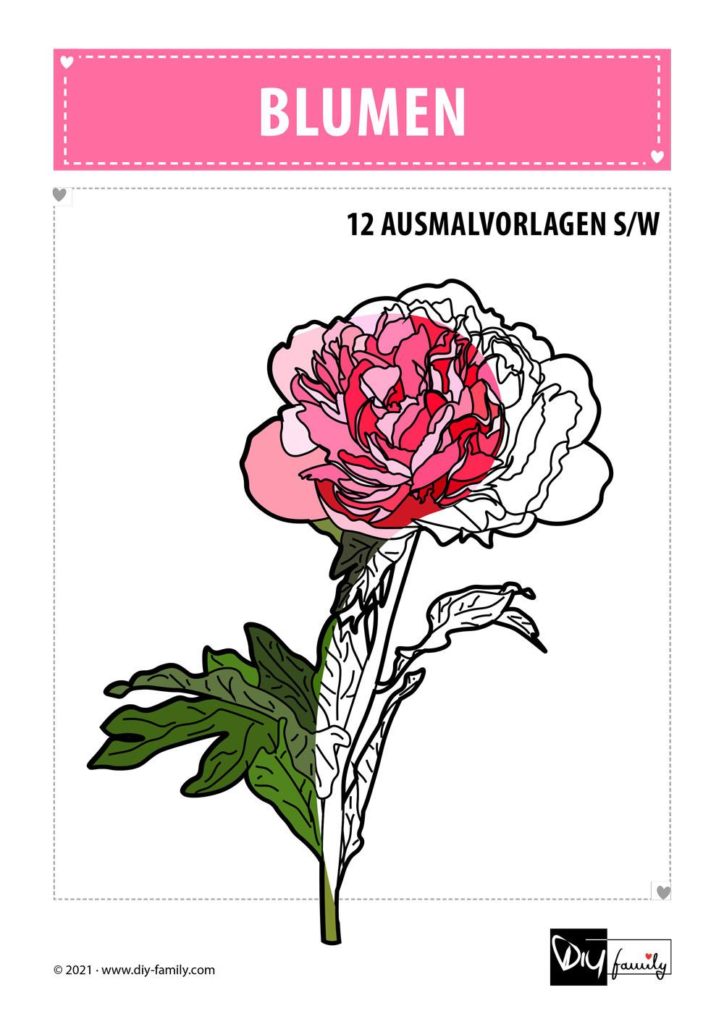 Blumen – Ausmalvorlagen Sammlung