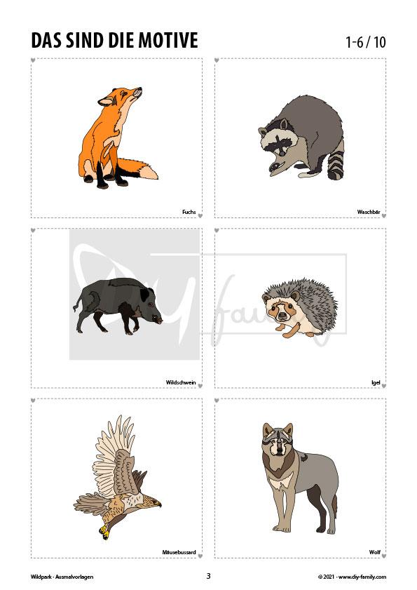 Im Wildpark – Ausmalvorlagen Sammlung