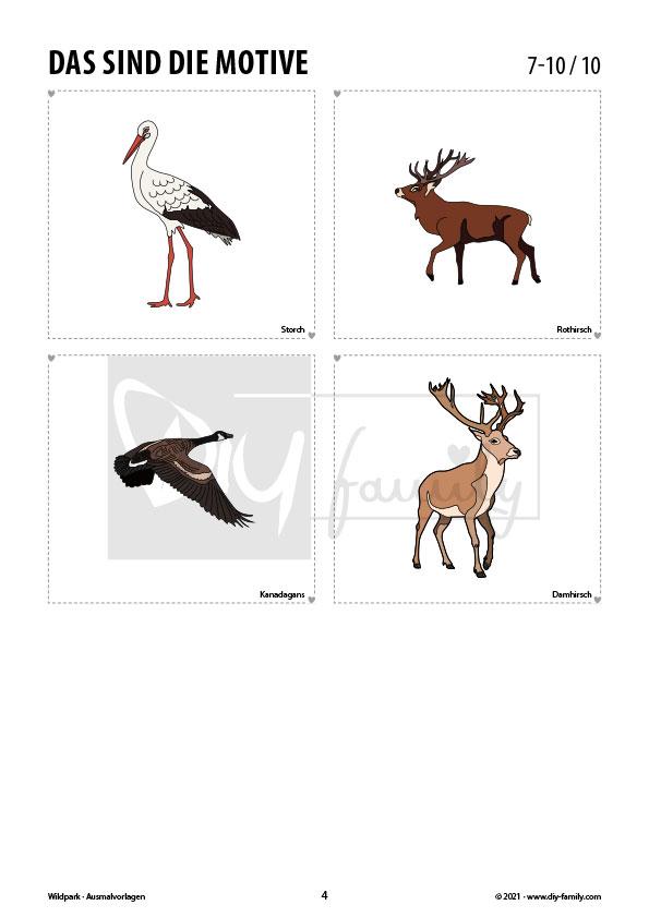 Im Wildpark – Ausmalvorlagen Sammlung