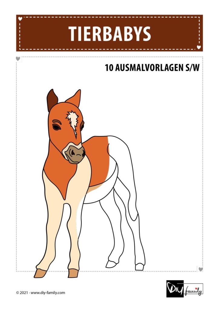 Tierbabys – Ausmalvorlagen Sammlung