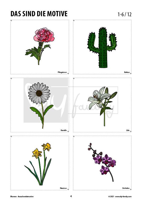 Blumen – Motive zum Ausmalen, Ausschneiden und Aufkleben