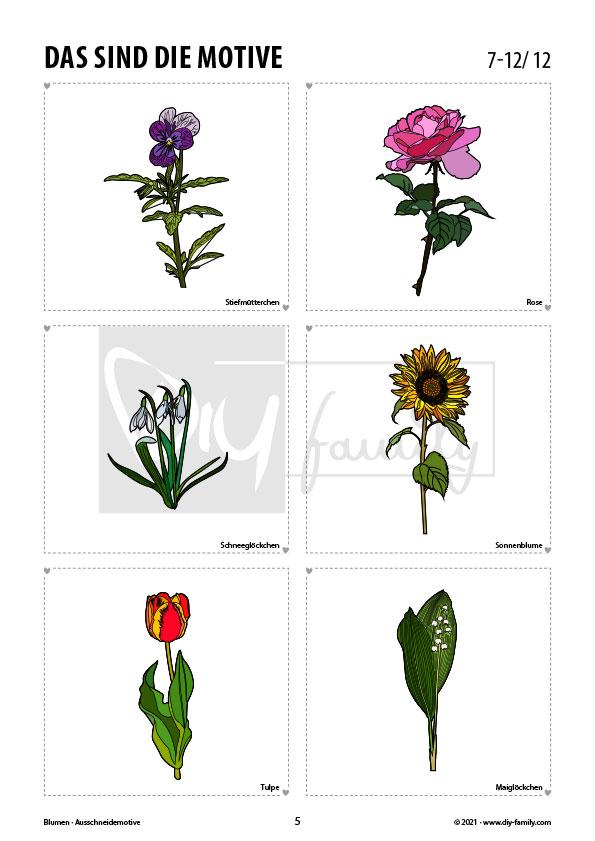 Blumen – Motive zum Ausmalen, Ausschneiden und Aufkleben
