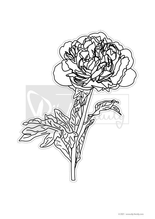 Blumen – Motive zum Ausmalen, Ausschneiden und Aufkleben