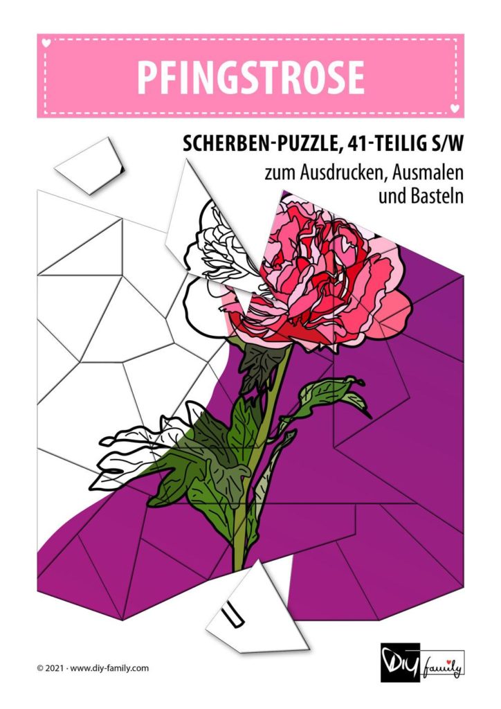 Pfingstrose – Scherben-Puzzle zum Ausdrucken, Ausschneiden und Ausmalen