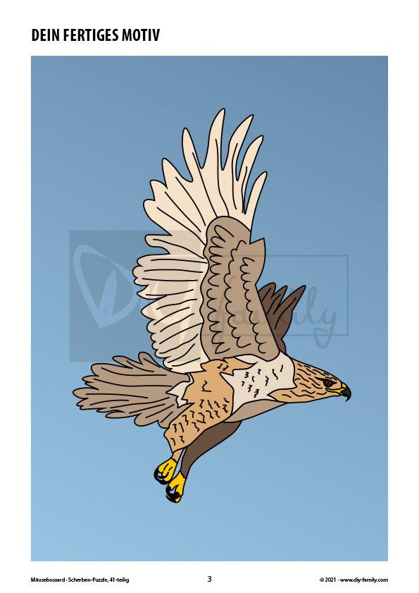 Mäusebussard – Scherben-Puzzle zum Ausdrucken, Ausschneiden und Ausmalen