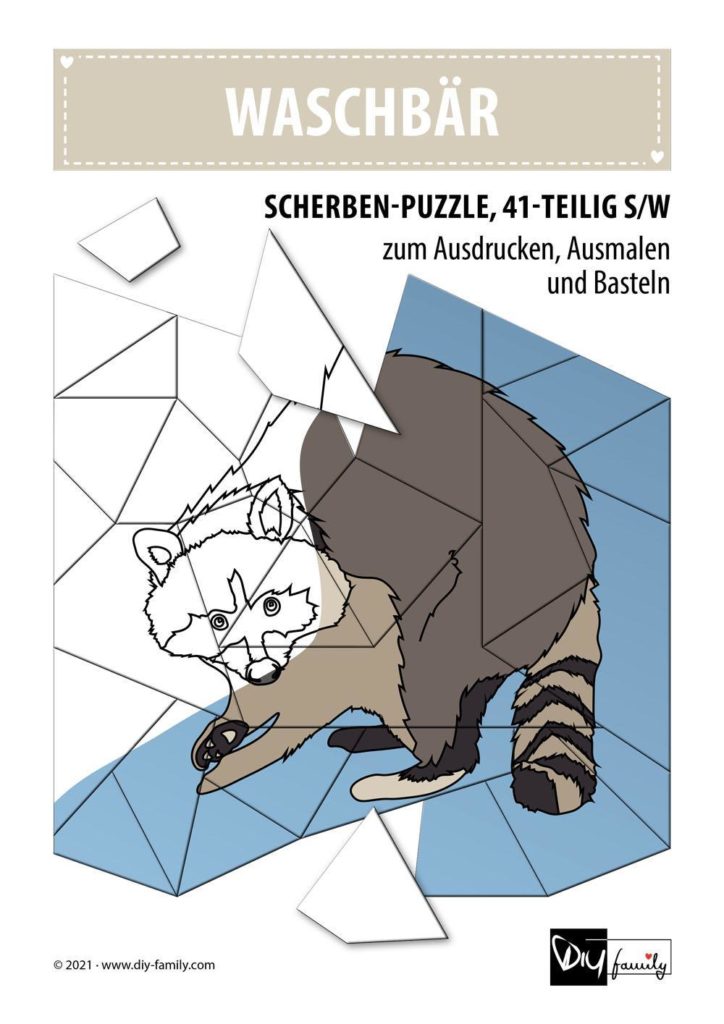 Waschbär – Scherben-Puzzle zum Ausdrucken, Ausschneiden und Ausmalen