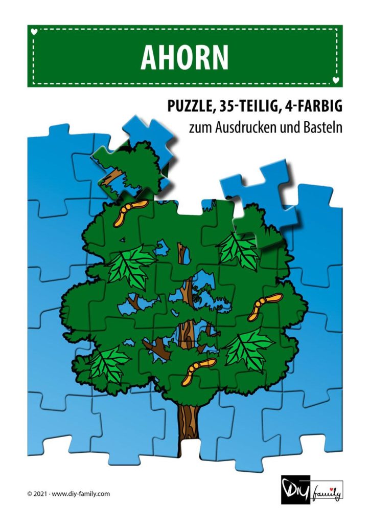 Ahorn – Puzzle