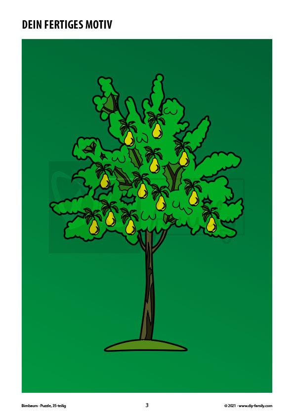 Birnbaum – Puzzle