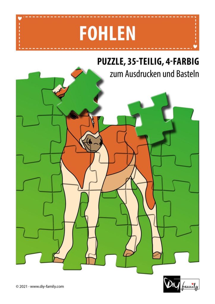 Fohlen – Puzzle