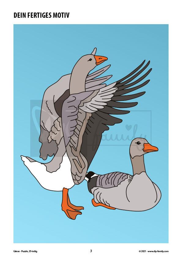 Gänse – Puzzle