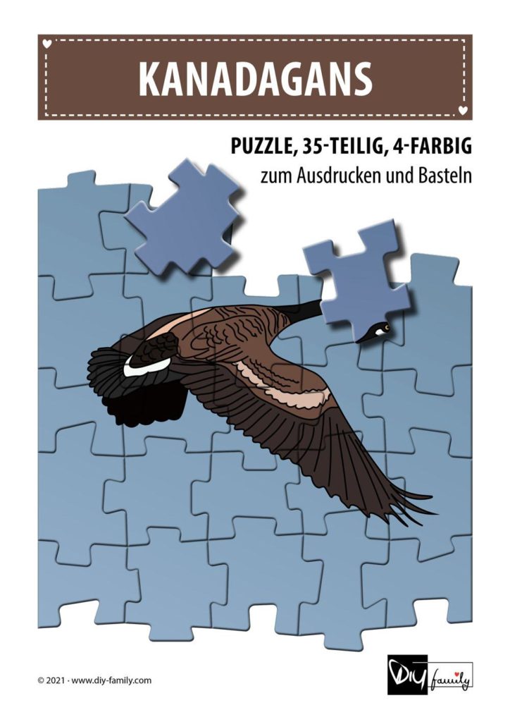 Kanadagans – Puzzle