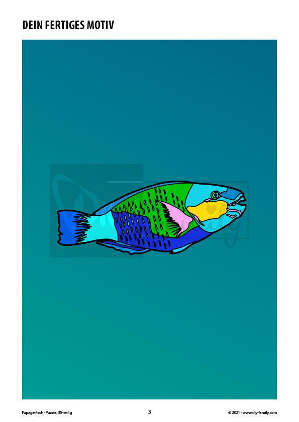 Papageifisch – Puzzle