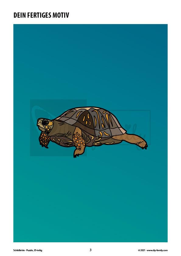 Schildkröte – Puzzle
