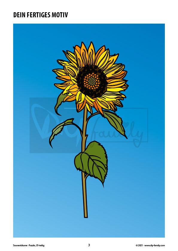Sonnenblume – Puzzle