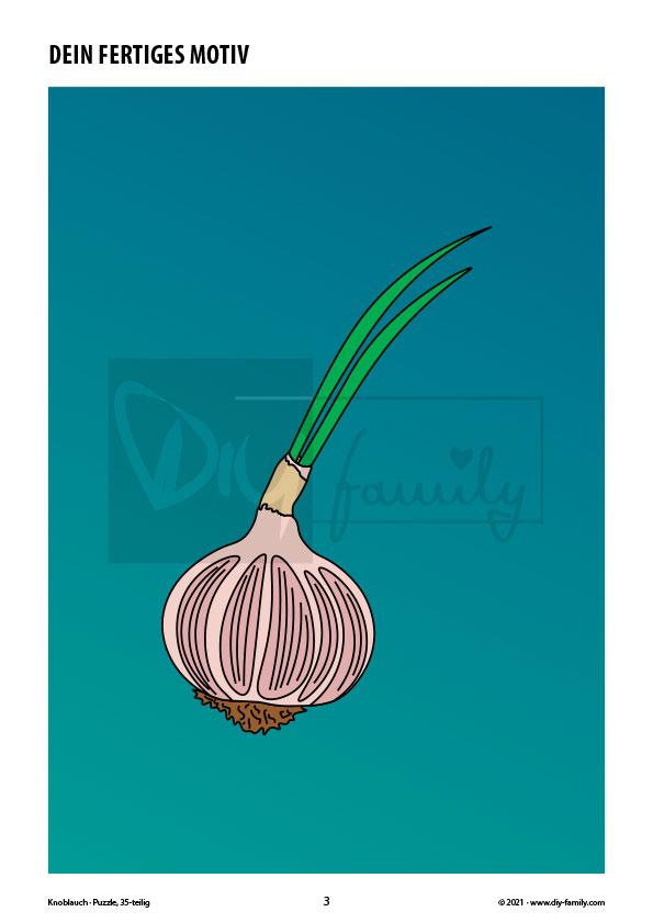 Knoblauch – Puzzle