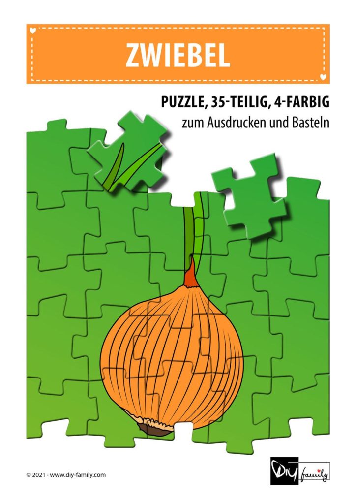 Zwiebel – Puzzle