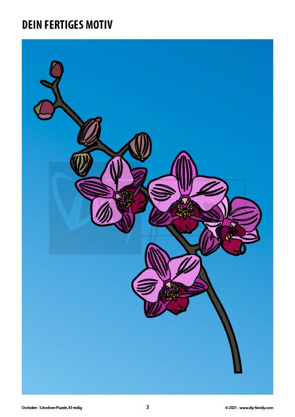Orchidee – Scherben-Puzzle zum Ausdrucken, Ausschneiden und Ausmalen