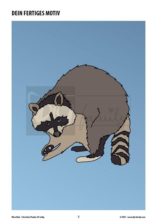 Waschbär – Scherben-Puzzle zum Ausdrucken und Ausschneiden