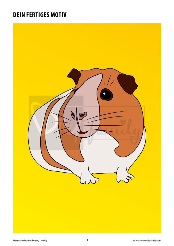 Meerschweinchen – Puzzle