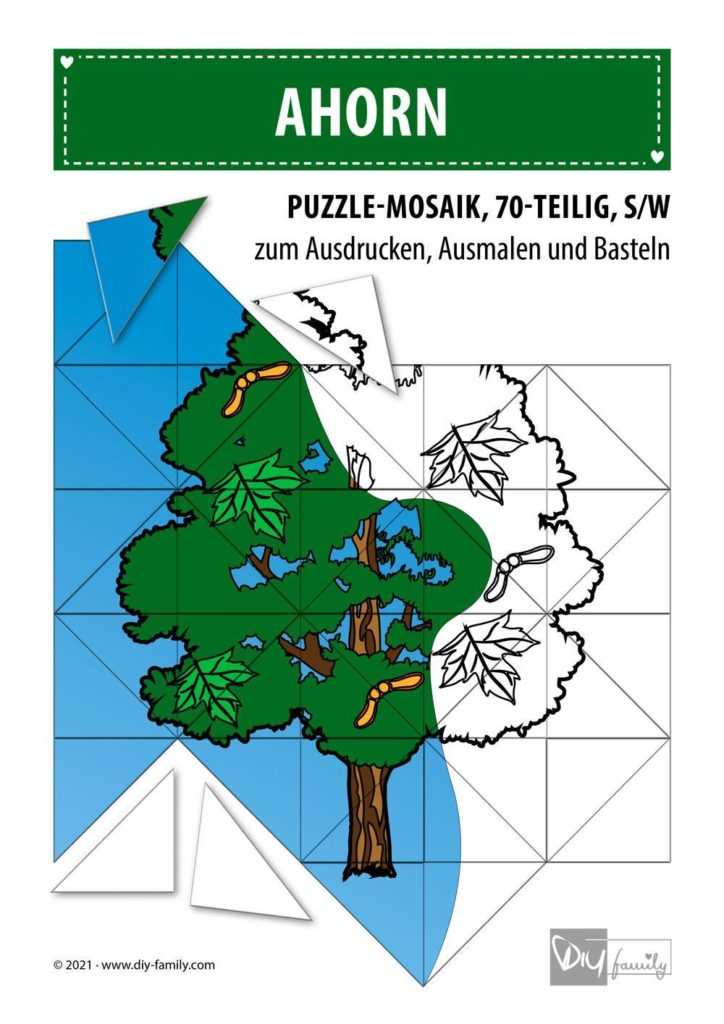 Ahorn – Mosaikpuzzle zum Ausschneiden und Ausmalen