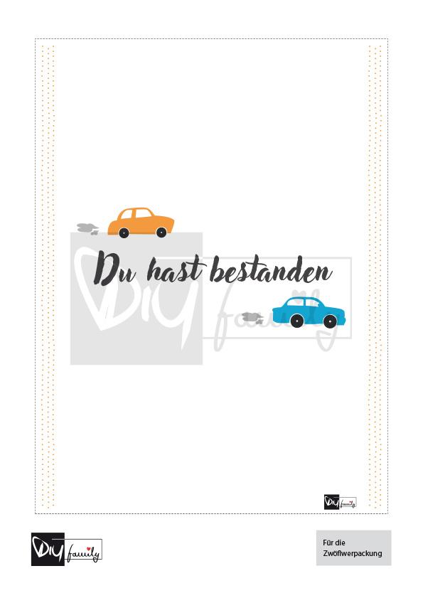 Ritter Sport Banderolen „Führerschein“