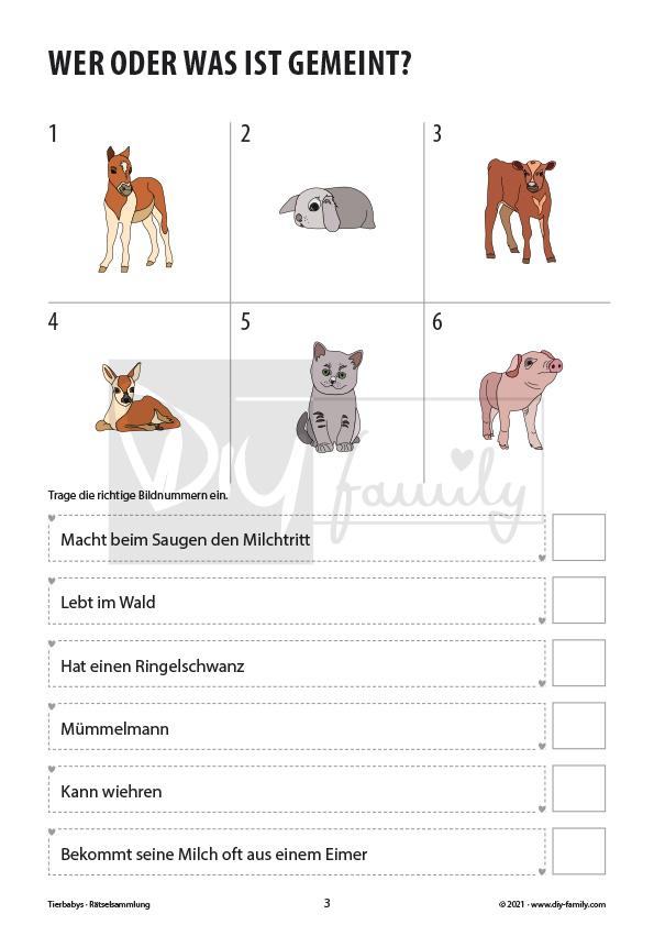Rätselzeit mit Tierbabys